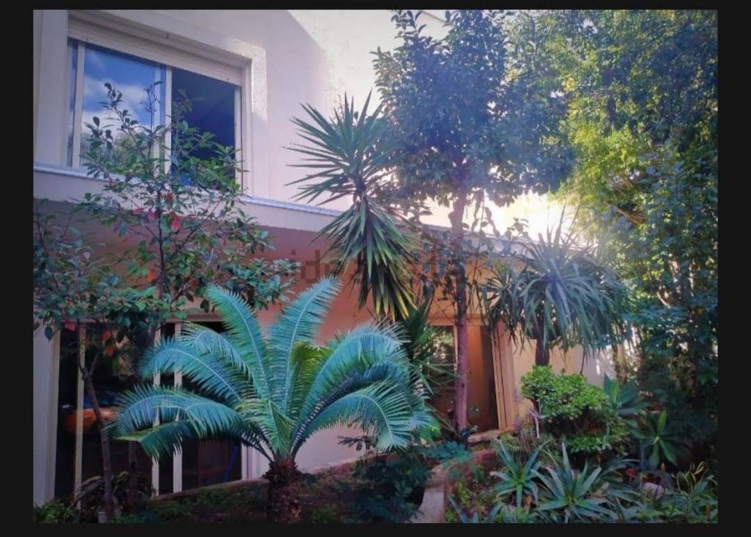 Villa Maya Villa San Giovanni Extérieur photo